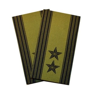 Oberstløytnant - Grønn felt hær - Forsvaret