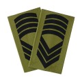 OR9 - Sersjantmajor - Hæren felt