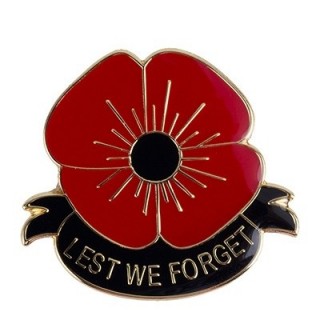 Pins - Lest we forget