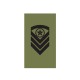 OR6 - Sjefsersjant - Hæren felt - Forsvaret