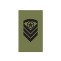 OR6 - Sjefsersjant - Hæren felt - Forsvaret