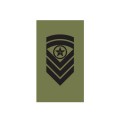 OR7 - Sjefsersjant - Hæren felt