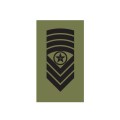 OR9 - Sjefsersjant - Hæren felt