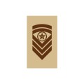 OR7 - Sjefsersjant - Hæren og Luftforsvaret ørken