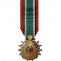 Medalje miniatyr - Kuwait Liberation - Operasjon Desert Storm